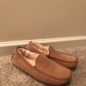 Men's UGG Ascot Slipper